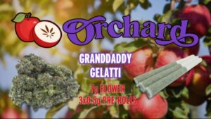 photo 2024 10 24 13 33 35