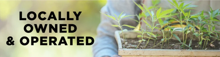 p3 locally o o mobile (1)