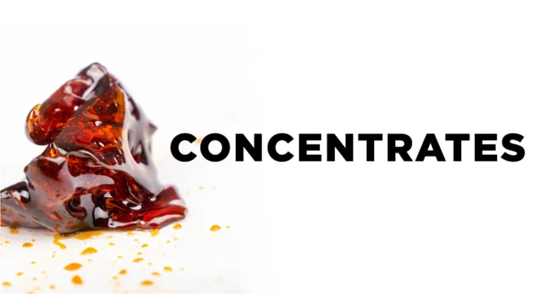 website banner concentrates 800x434 dd9a7b6d 781e 4020 acb0 e87d867383fd (1)