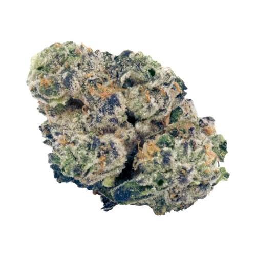 auto draft auto draft, CANNABIS DISPENSARY