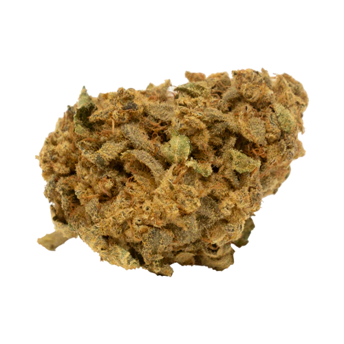 auto draft auto draft