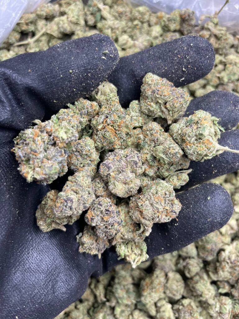 biscotti 768x1024 1 (1)