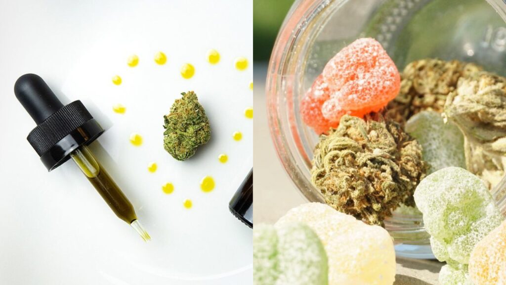 cannabis tincture vs edibles 1